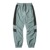 LEGIT iCpcy90's Cutting PantszS.BLUE 2502-2006