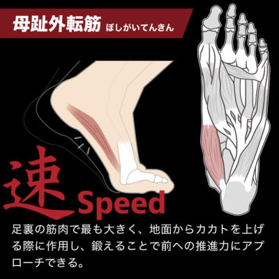 アクティバイタル 足袋型ソックス Activital PRO│バスケ用品専門店 BB