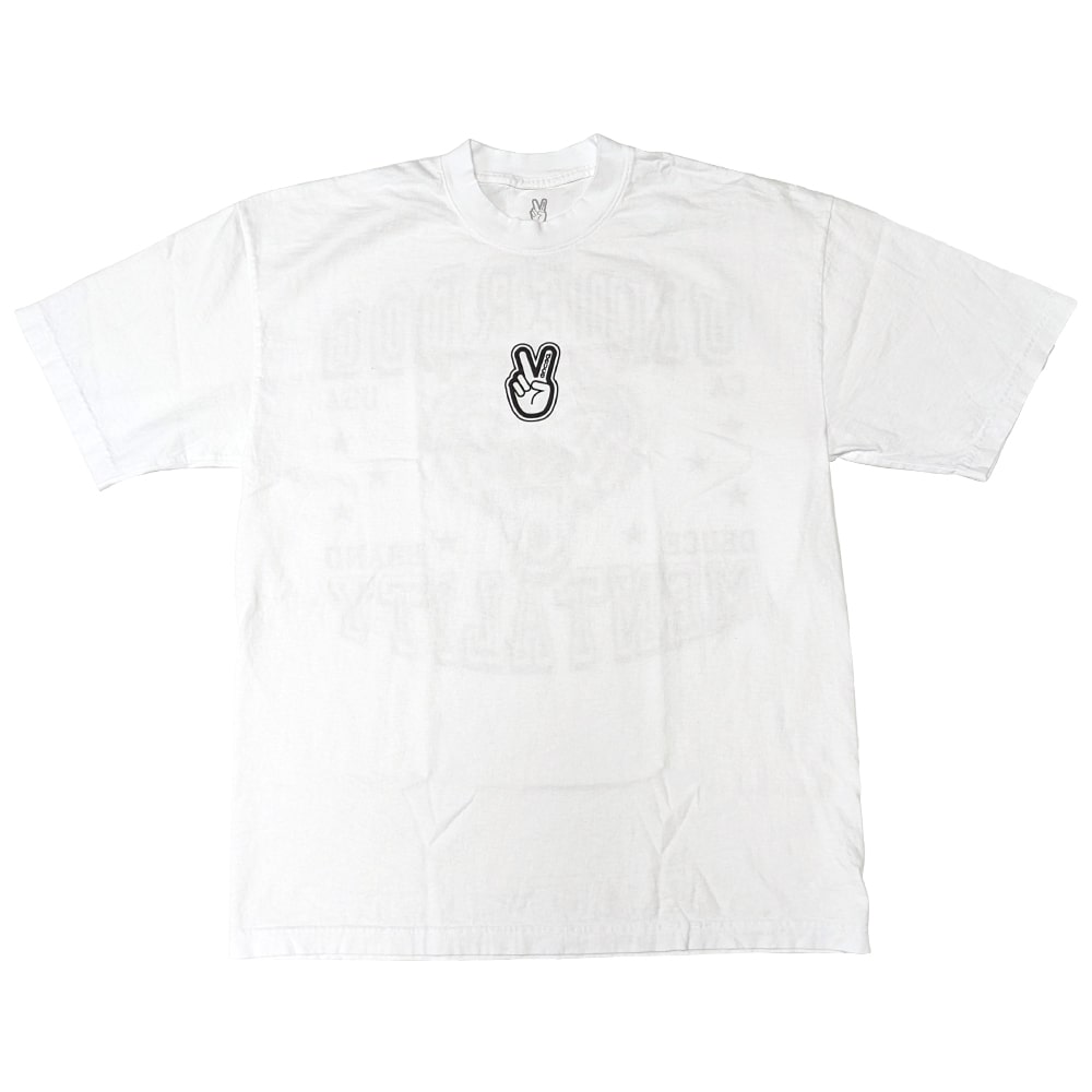 WASTED YOUTH ウェイステッドユース ×TEAM TENSHIN TEE チーム